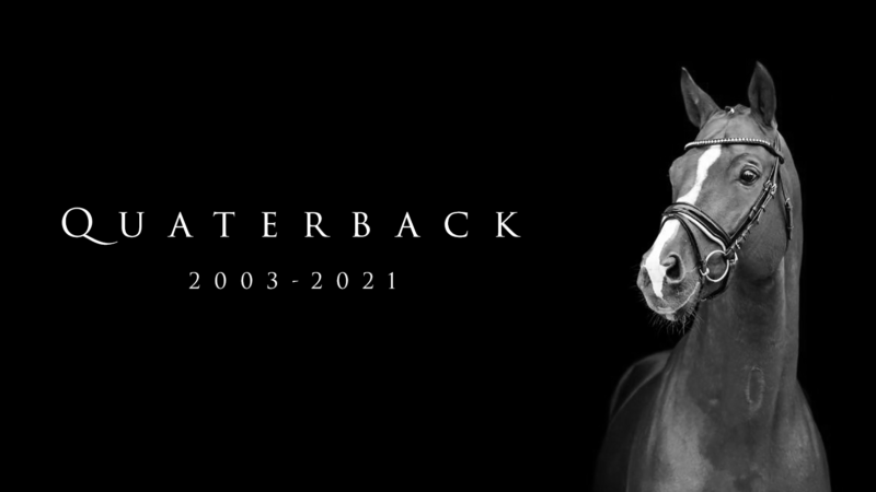 2003-2021 Quaterback