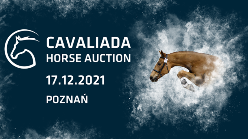 Trwa selekcja koni do aukcji CAVALIADA Horse Auction 2021