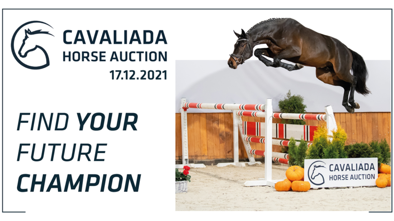 Cavaliada Horse Auction 2021: Katalog dostępny online