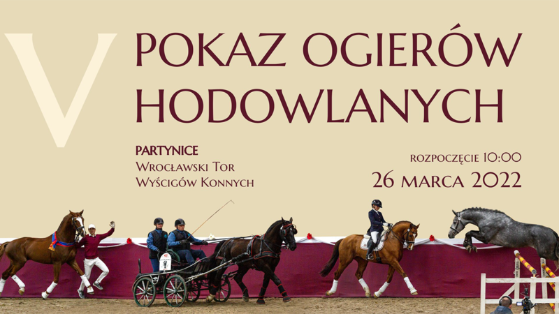 V Pokaz Ogierów Hodowlanych, WTWK Partynice. 26.03.2022
