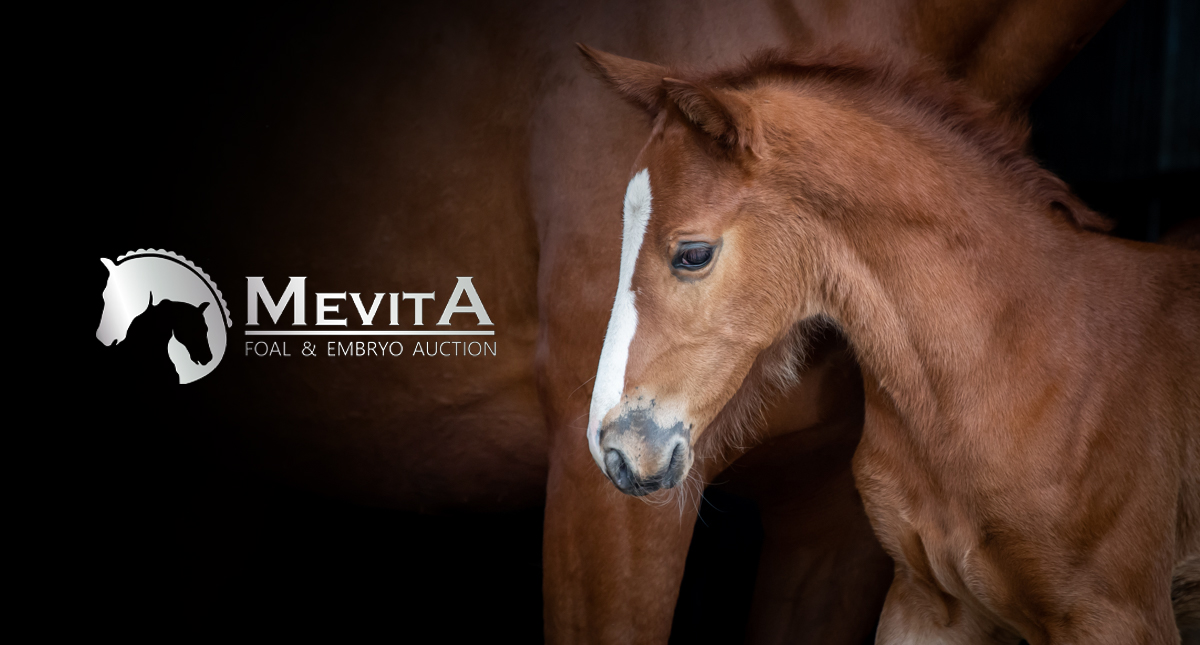 Mevita Foal & Embryo Auction – nowość na europejskim rynku aukcyjnym