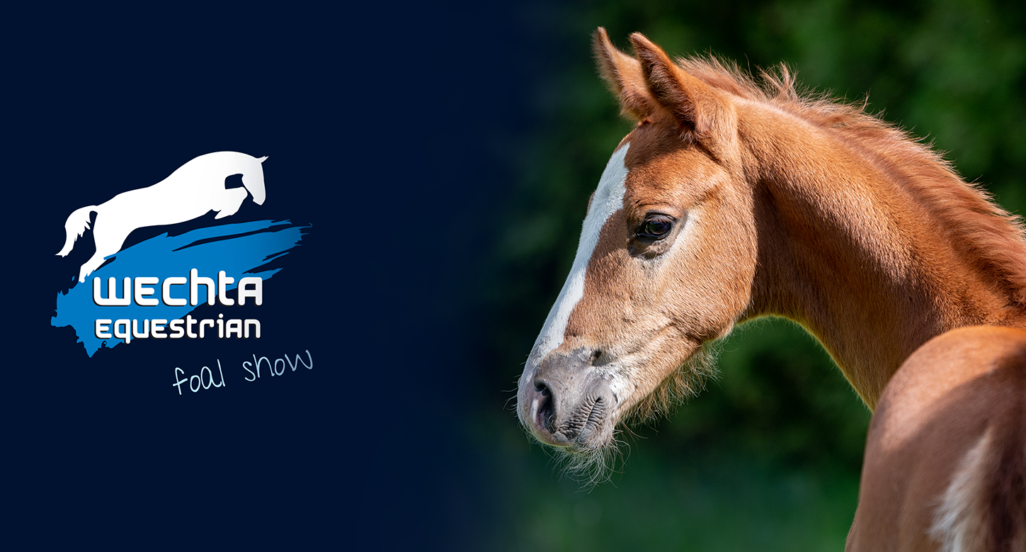 Wechta Equestrian Foal Show 2022: Program i katalog