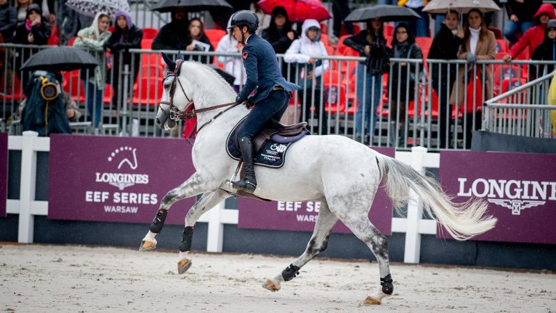 Warsaw Jumping 2022: Sylwetki zwycięskich koni