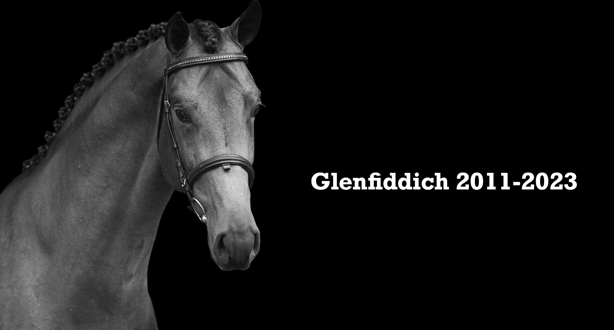 2011-2023 Glenfiddich