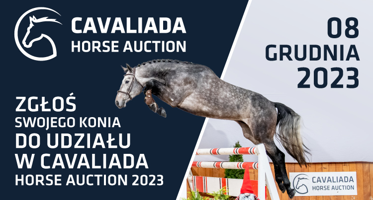 Ruszyła selekcja do aukcji Cavaliada Horse Auction 2023