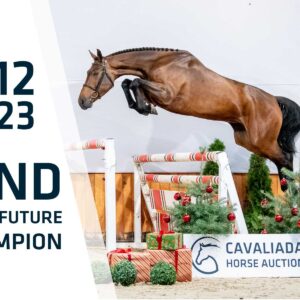 CAVALIADA Horse Auction 2023 już dziś w Poznaniu